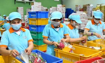 Việt Nam hội nhập sâu vào mạng lưới sản xuất và thương mại toàn cầu, là cơ hội tốt với những ngành có lợi thế về nguồn nguyên liệu và sản phẩm như nông nghiệp, thực phẩm chế biến, gia vị, hoa quả tươi.