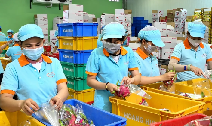 Việt Nam hội nhập sâu vào mạng lưới sản xuất và thương mại toàn cầu, là cơ hội tốt với những ngành có lợi thế về nguồn nguyên liệu và sản phẩm như nông nghiệp, thực phẩm chế biến, gia vị, hoa quả tươi.