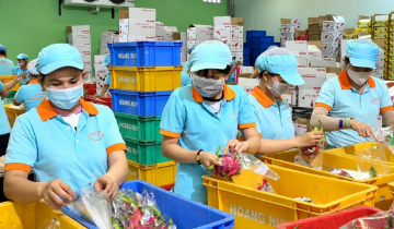Cơ hội từ dịch chuyển chuỗi cung ứng: Cần hiện thực hóa bằng đơn hàng