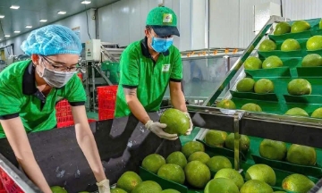 Thương vụ Việt Nam tại Singapore khuyến nghị doanh nghiệp xuất khẩu cần tìm hiểu kỹ quy định của thị trường để xuất khẩu bền vững.