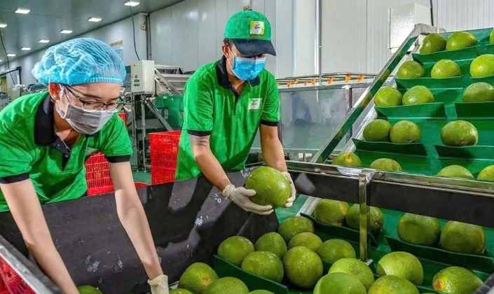 Thương vụ Việt Nam tại Singapore khuyến nghị doanh nghiệp xuất khẩu cần tìm hiểu kỹ quy định của thị trường để xuất khẩu bền vững.