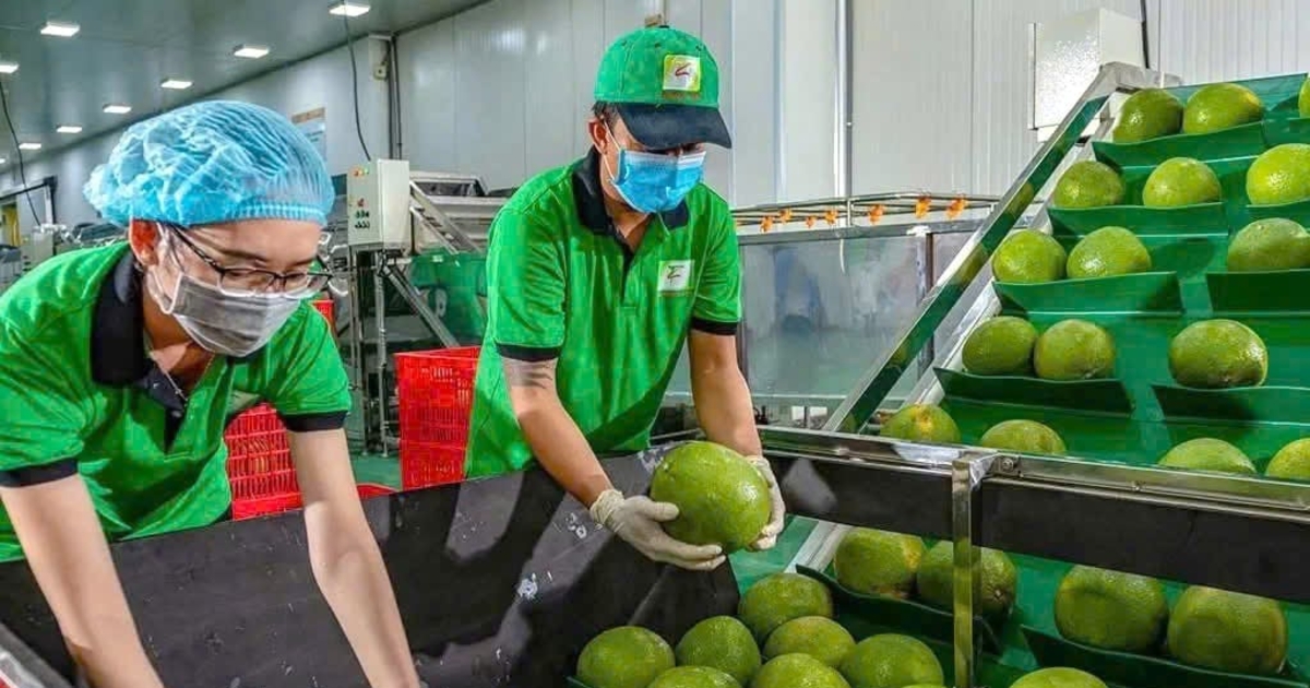 Khuyến nghị xuất khẩu thủy sản, rau củ sang Singapore