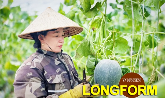 HTX thiết lập trật tự mới trong nông nghiệp, mở hướng làm giàu cho nông dân