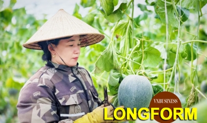 HTX thiết lập trật tự mới trong nông nghiệp, mở hướng làm giàu cho nông dân