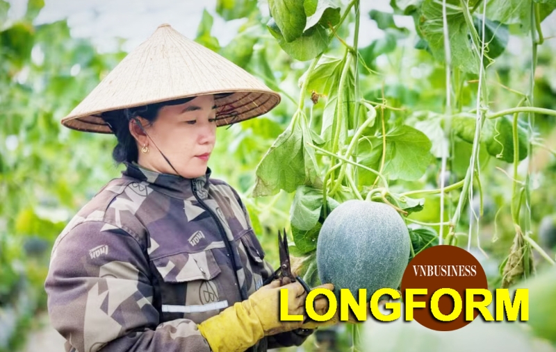HTX thiết lập 'trật tự mới' trong nông nghiệp, mở hướng làm giàu cho nông dân