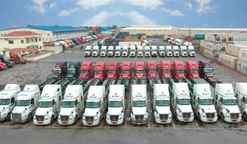 Viconship xoay xở hàng nghìn tỷ đồng nguồn vốn, cổ phiếu mất hơn 50% từ đỉnh