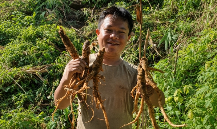 Chàng trai Cơ Tu dựng sinh kế từ dược liệu quê hương