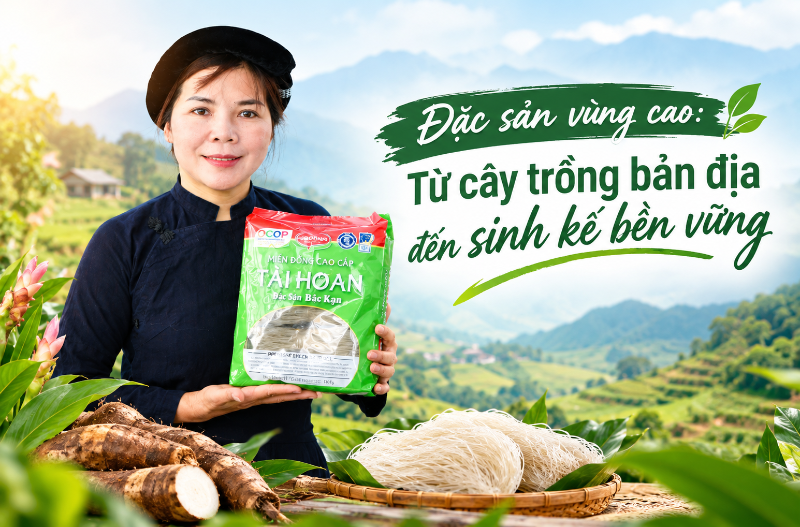 Đặc sản vùng cao: Từ cây bản địa đến sinh kế bền vững