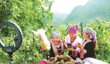 Đẩy mạnh hạ tầng số và khoa học công nghệ: “Đòn bẩy” nâng tầm HTX vùng dân tộc thiểu số