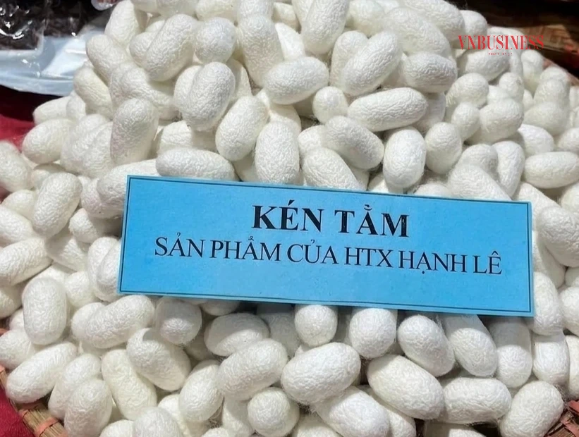 Từ một mô hình ban đầu chỉ có 1 hộ tham gia, đến nay đã có 116 hộ tham gia và sản xuất cùng HTX .