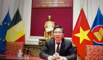 EU siết MRL, trái cây Việt phải chủ động từ vùng trồng