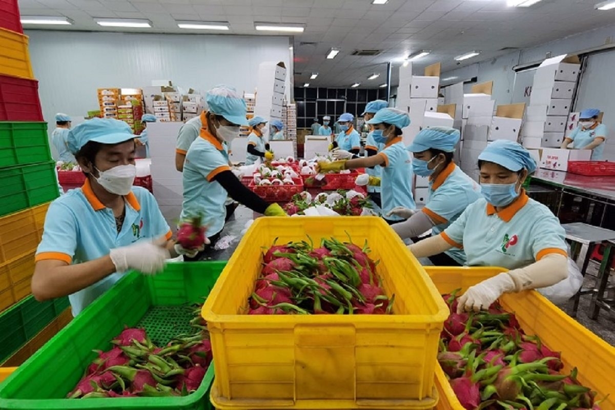 Việc rà soát sớm yêu cầu kỹ thuật sẽ giúp doanh nghiệp xuất khẩu hạn chế nguy cơ bị động khi quy định thay đổi.