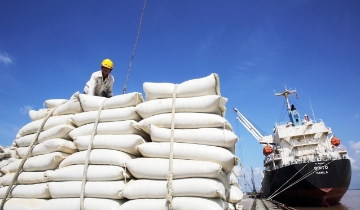 Quy định mới về điều kiện kinh doanh xuất khẩu gạo