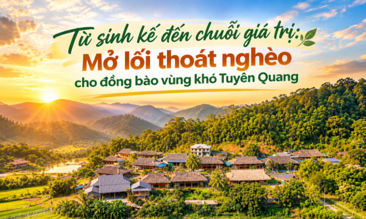 Từ sinh kế đến chuỗi giá trị: Mở lối thoát nghèo cho đồng bào vùng khó Tuyên Quang