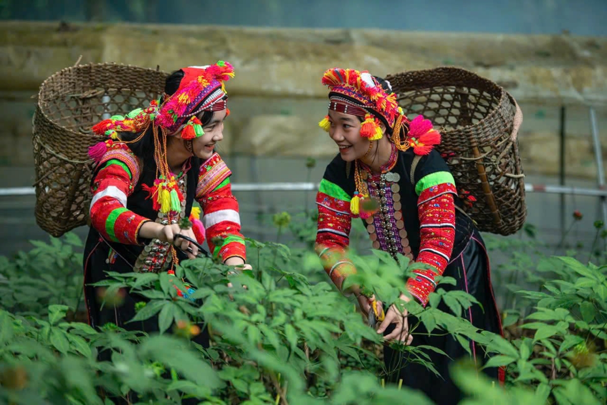 Sau tích hợp, mục tiêu đến 2030, tỷ lệ hộ nghèo đa chiều vùng đồng bào DTTS&MN giảm xuống dưới 10%.