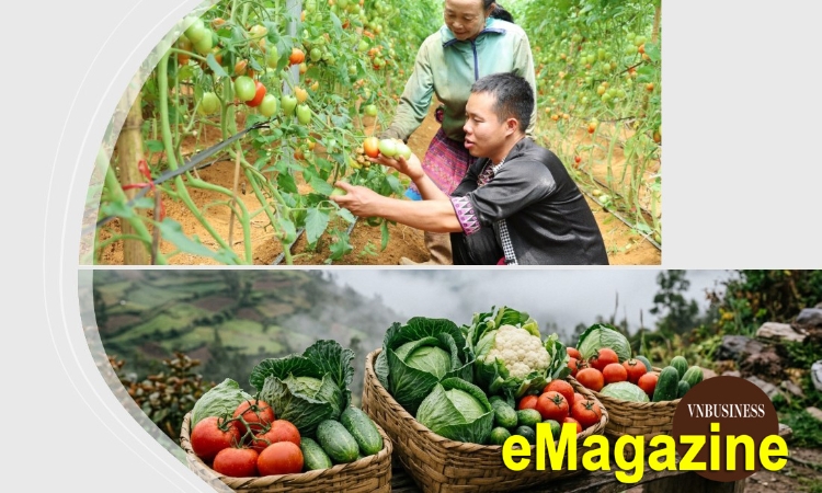 Vừ Pát Ly và câu chuyện dựng sinh kế mới trên miền đất của người Mông