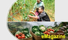 Vừ Pát Ly và câu chuyện dựng sinh kế mới trên miền đất của người Mông