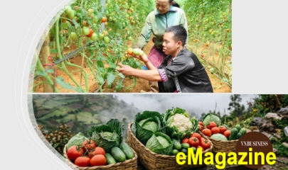 Vừ Pát Ly và câu chuyện dựng sinh kế mới trên miền đất của người Mông