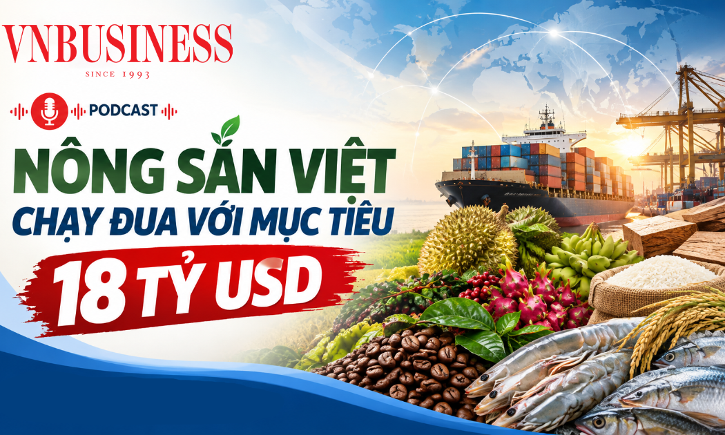 VnBusiness