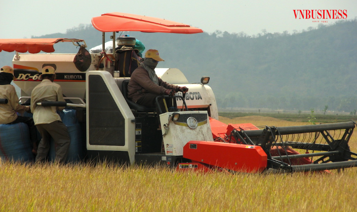 HTX kéo nông dân Đắk Liêng vào chuỗi giá trị