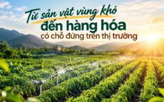 VnBusiness