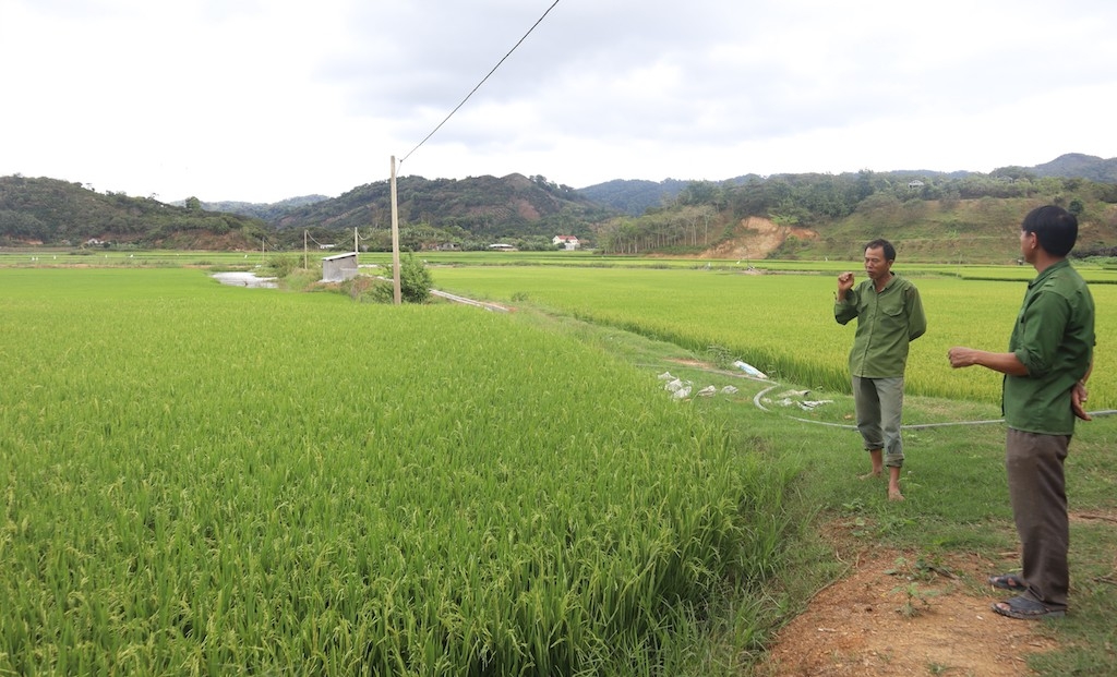 Người dân Đắk Liêng phát triển sinh kế từ sản xuất lúa, với sự hỗ trợ từ các Chương trình mục tiêu quốc gia và vai trò kết nối của HTX.