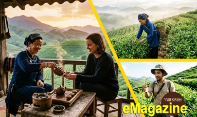 Từ hộ đơn lẻ đến chuỗi giá trị: Cây chè lên hương cùng HTX vùng cao