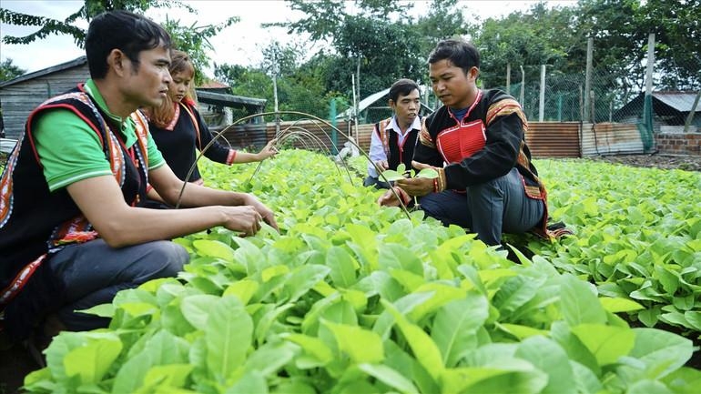 Cần chuyển mạnh hơn từ “hỗ trợ khó khăn” sang “tạo năng lực phát triển”.