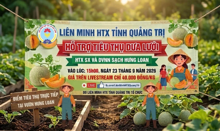 Để bán hàng trực tuyến, HTX cần chuẩn bị nhiều việc như sản phẩm, người bán, cách thức giao nhận...