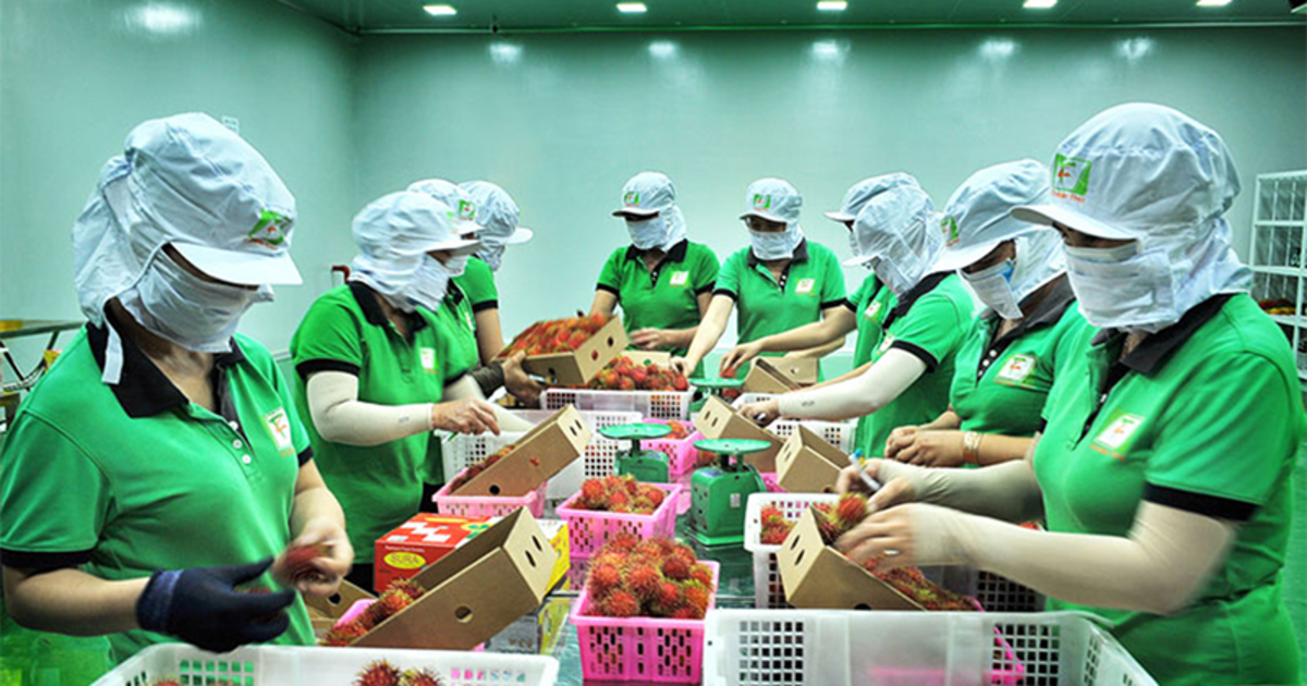 Cà phê và nông sản Việt: Cơ hội tại thị trường Úc