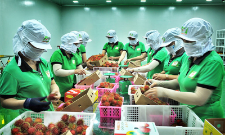 Thị trường Úc đang mở ra dư địa lớn để doanh nghiệp Việt Nam gia tăng xuất khẩu.