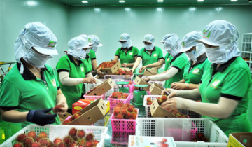 Cà phê, rau quả, gia vị Việt trước cơ hội gia tăng thị phần tại Úc
