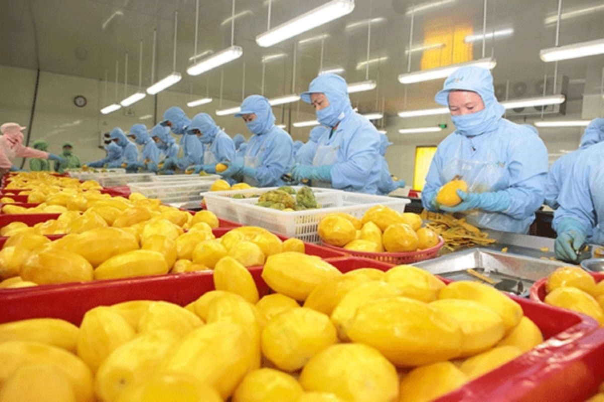 Thị trường Úc đang mở ra dư địa lớn để doanh nghiệp Việt Nam gia tăng xuất khẩu.