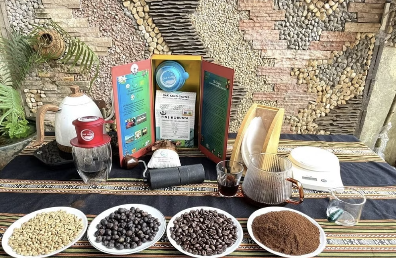 Đổi nếp nghĩ từ rẫy nương đến sàn thương mại số, nông nghiệp Gia Lai vững bước thoát nghèo