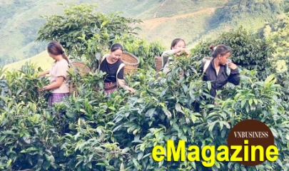 HTX đánh thức giá trị nông sản vùng cao nhờ đòn bẩy khoa học công nghệ