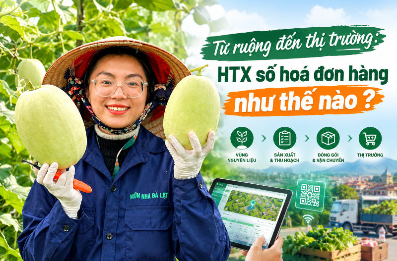 Từ ruộng đến thị trường: HTX số hoá đơn hàng như thế nào?