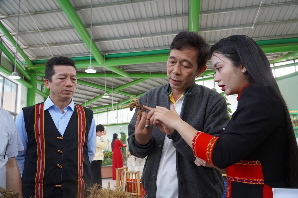 Đồng bào Ca Dong tại HTX Cộng đồng Ngọc Linh trong hành trình đưa sản vật vùng cao đến thị trường.