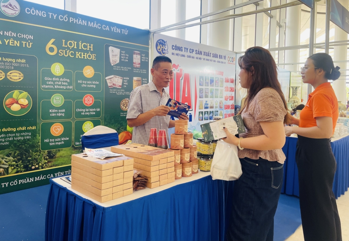 Hội chợ thu hút nhiều doanh nghiệp, hợp tác xã, hộ kinh doanh, các sàn thương mại điện tử... tham gia. Ảnh: TD