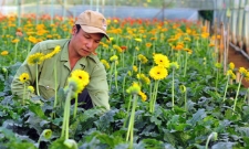 Hà Nội đặt mục tiêu thành lập mới từ 150 hợp tác xã, liên hiệp hợp tác xã trở lên trong năm 2027.