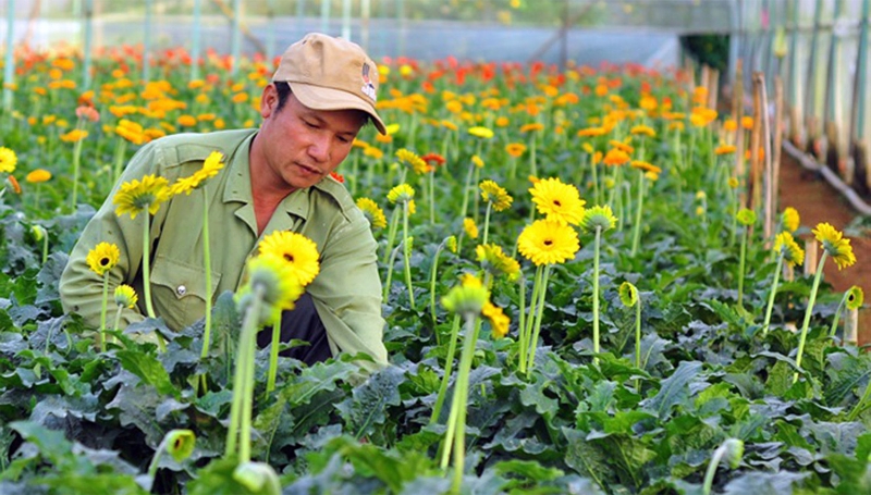 Hà Nội đặt mục tiêu thành lập mới 150 hợp tác xã năm 2027