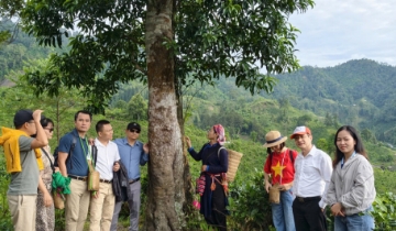 HTX kết nối nông nghiệp với du lịch, mở hướng sinh kế cho vùng cao Lào Cai