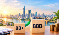 VnBusiness