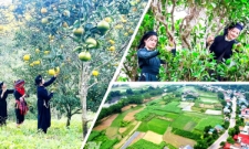 Dự án 3 mở rộng sinh kế, thúc đẩy sản xuất theo chuỗi giá trị ở Thái Nguyên