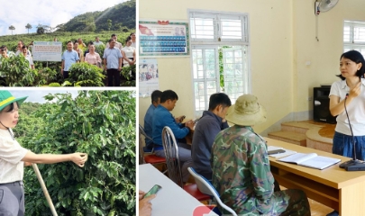 Đưa khoa học công nghệ vào chuỗi giá trị cà phê ở vùng cao Sơn La