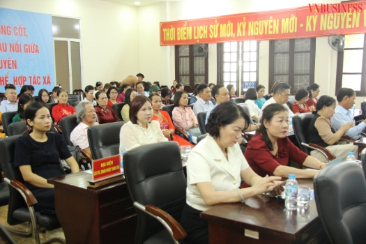 Các mô hình HTX do nữ giới làm chủ đang ngày càng phát huy vai trò, đóng góp tích cực vào sự phát triển kinh tế xã hội tại các địa phương.