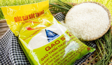 Gạo Ông Cua ST25 giành giải Nhì cuộc thi Gạo ngon nhất thế giới 2026
