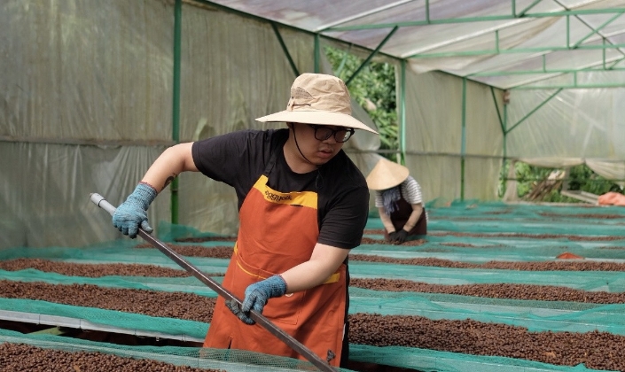 Nâng giá trị cà phê Việt: Công nghệ và bảo hiểm cùng gỡ điểm nghẽn