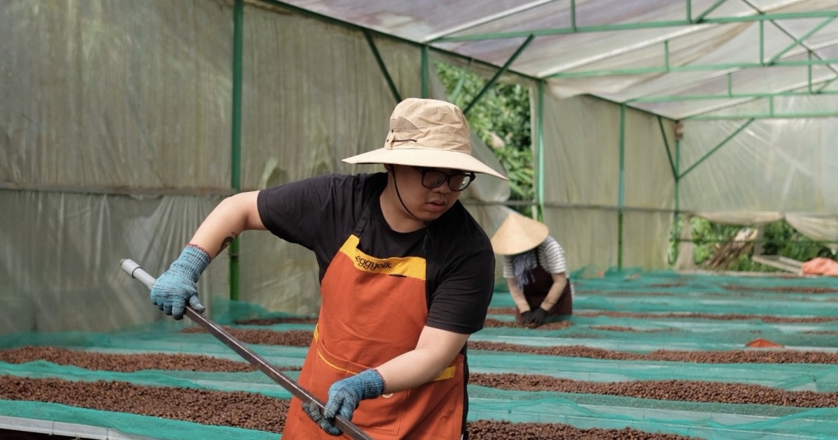 Gia tăng giá trị cà phê Việt Nam nhờ công nghệ và bảo hiểm