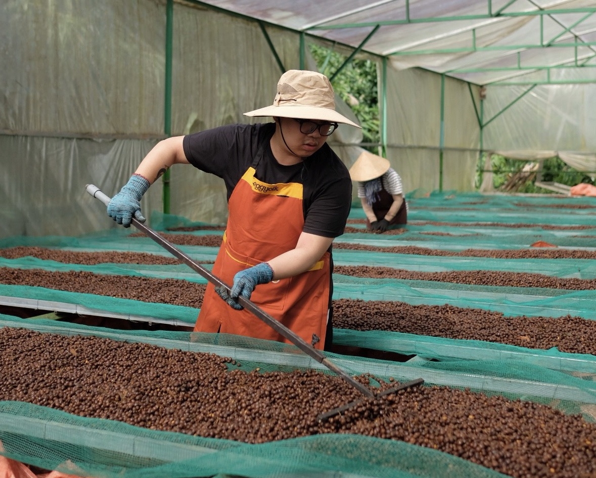 Sản xuất cà phê đặc sản là một hướng đi hiệu quả cho ngành cà phê.