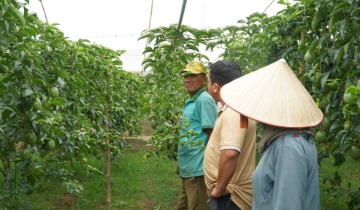 HTX chuyển cách làm nông bằng công nghệ số trên vùng đất Đức Trọng